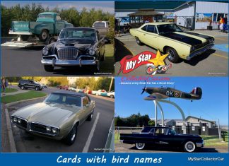 OF ALL THE BIRD-BRAINED IDEAS…THESE WERE SOME GOOD ONES