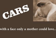 VINTAGE RIDES WITH FACES THAT ONLY A MOTHER (AND MYSTARCOLLECTORCAR) COULD LOVE