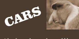 VINTAGE RIDES WITH FACES THAT ONLY A MOTHER (AND MYSTARCOLLECTORCAR) COULD LOVE