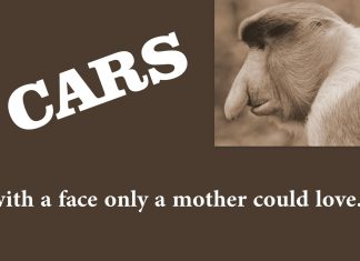 VINTAGE RIDES WITH FACES THAT ONLY A MOTHER (AND MYSTARCOLLECTORCAR) COULD LOVE