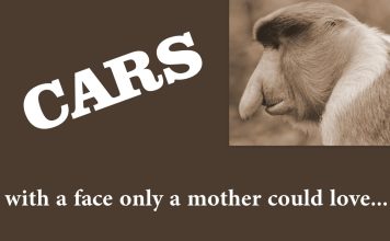 VINTAGE RIDES WITH FACES THAT ONLY A MOTHER (AND MYSTARCOLLECTORCAR) COULD LOVE