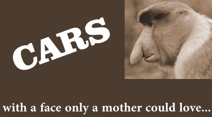 VINTAGE RIDES WITH FACES THAT ONLY A MOTHER (AND MYSTARCOLLECTORCAR) COULD LOVE