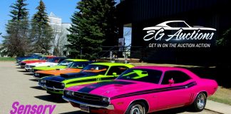 SENSORY OVERLOAD–MOPAR E-BODY HEAVEN