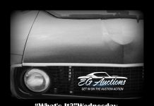 EGAUCTIONS.COM JUNE 7 “WHAT’S IT?” WEDNESDAY