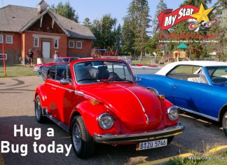 MYSTAR JULY 21 FIVE FOR FRIDAY: FIVE GOOD REASONS TO HUG A BUG