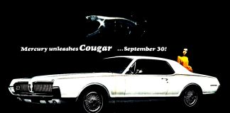THE RISE AND FALL OF THE MERCURY COUGAR