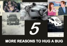 MYSTAR FEBRUARY 23 FIVE FOR FRIDAY: MYSTARCOLLECTORCAR PRESENTS FIVE MORE GREAT REASONS TO HUG A BUG