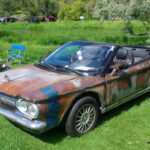IMGP2555