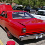 IMGP3954