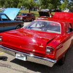 IMGP3956