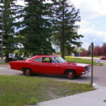 IMGP3978