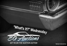 EGAUCTIONS.COM AUGUST 2 “WHAT’S IT?” WEDNESDAY
