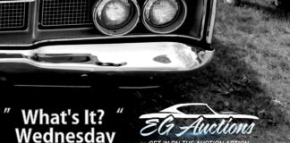 EGAUCTIONS.COM AUGUST 16 “WHAT’S IT?” WEDNESDAY