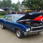 IMGP2995