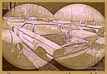 HOW CAR GUYS SEE THE WORLD