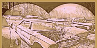 HOW CAR GUYS SEE THE WORLD