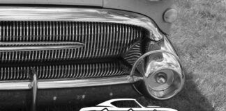 EGAUCTIONS.COM NOVEMBER 8 “WHAT’S IT?” WEDNESDAY