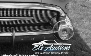 EGAUCTIONS.COM NOVEMBER 8 “WHAT’S IT?” WEDNESDAY