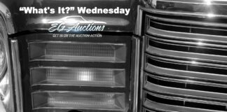 NOVEMBER 15 EGAUCTIONS.COM “WHAT’S IT?” WEDNESDAY