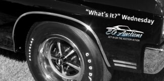 NOVEMBER 22 EGAUCTIONS.COM “WHAT’S IT?” WEDNESDAY