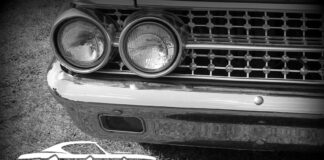 EGAUCTIONS.COM NOVEMBER 29 “WHAT’S IT?” WEDNESDAY