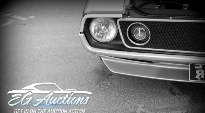 EGAUCTIONS.COM JANUARY 10 “WHAT’S IT?” WEDNESDAY