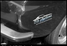 EGAUCTIONS.COM JANUARY 31 “WHAT’S IT?” WEDNESDAY