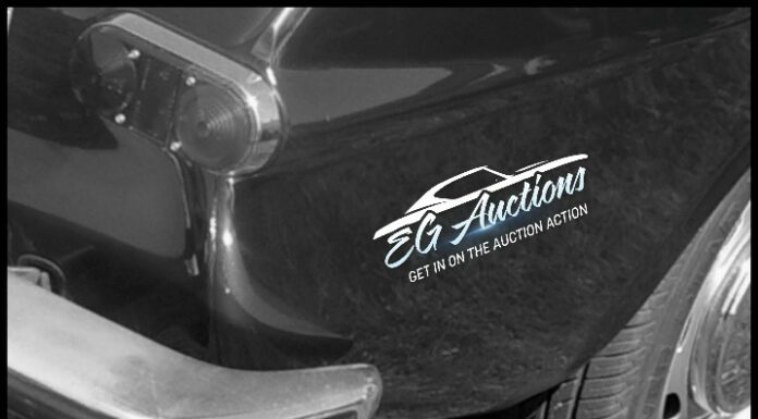 EGAUCTIONS.COM JANUARY 31 “WHAT’S IT?” WEDNESDAY