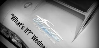 EGAUCTIONS.COM FEBRUARY 7 “WHAT’S IT?” WEDNESDAY