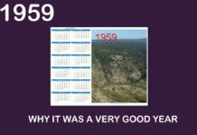 WHY 1959 WAS A VERY GOOD YEAR FOR DOMESTIC CARS