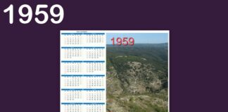 WHY 1959 WAS A VERY GOOD YEAR FOR DOMESTIC CARS