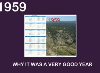 WHY 1959 WAS A VERY GOOD YEAR FOR DOMESTIC CARS