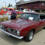 IMGP4226