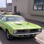 IMG_20240511_112532