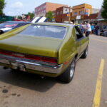 IMGP5355