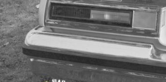 JULY 2 MICHENER-ALLEN “WHAT’S IT?” WEDNESDAY