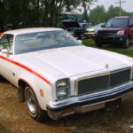 IMGP7301