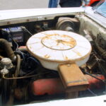 IMGP6237