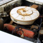 IMGP6239