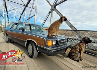 DECEMBER 2024: A 1986 DODGE ARIES BECOMES A LONG-DISTANCE ROAD WARRIOR FOR ITS ADVENTUROUS OWNER