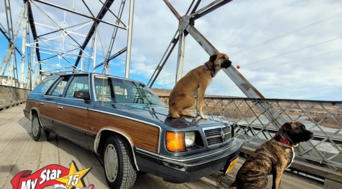 DECEMBER 2024: A 1986 DODGE ARIES BECOMES A LONG-DISTANCE ROAD WARRIOR FOR ITS ADVENTUROUS OWNER