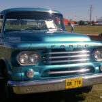 IMGP7556