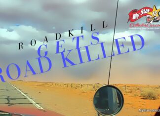 ROADKILL GETS ROAD KILLED—THE SHIFTING SANDS OF CAR GUY TV