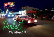 THE PERFECT CHRISTMAS GIFT FOR CAR GUYS AND GIRLS
