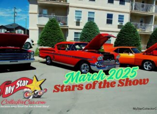 MARCH 2025 STARS OF THE SHOW–3 DAYS IN JUNE 2014