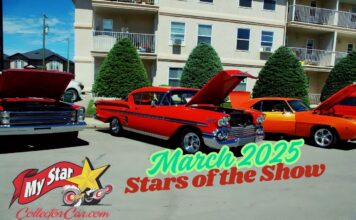 MARCH 2025 STARS OF THE SHOW–3 DAYS IN JUNE 2014