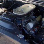 IMGP8193