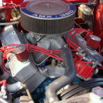 IMGP6171
