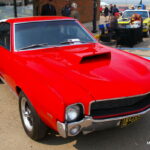 IMGP6185