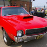 IMGP6187